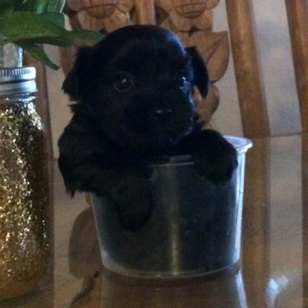 Meet your Posher, Cristina l